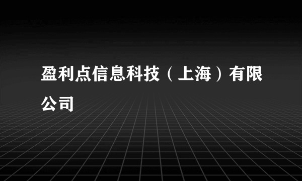 盈利点信息科技（上海）有限公司