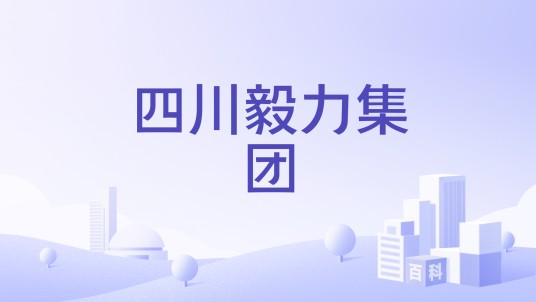 四川毅力集团