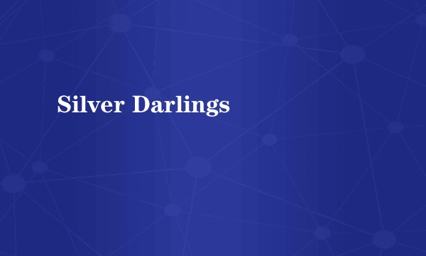 Silver Darlings