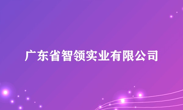 广东省智领实业有限公司