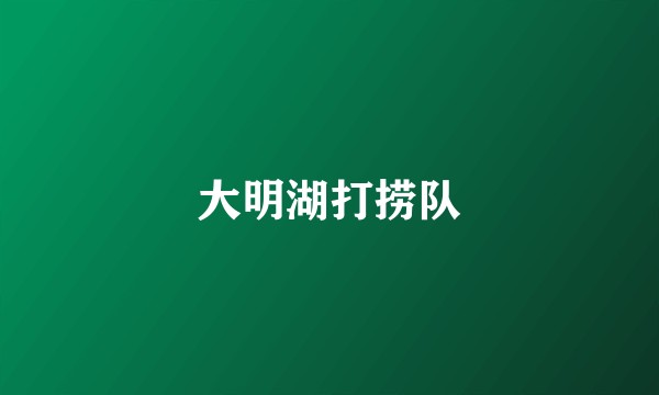 大明湖打捞队