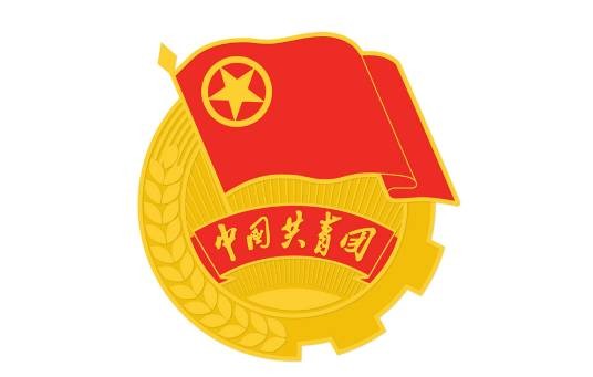 中国共产主义青年团中国人民大学委员会