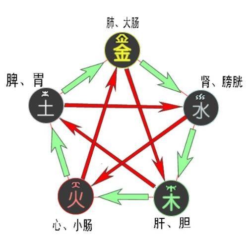 乙木