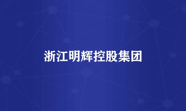 浙江明辉控股集团