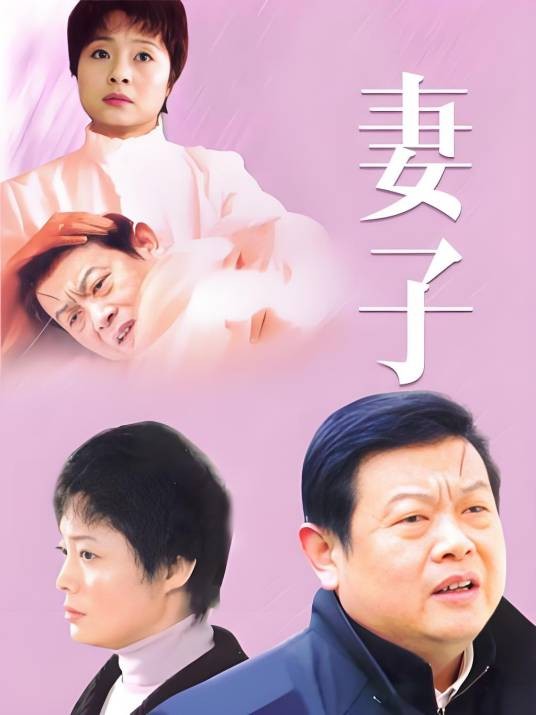 妻子（刘二威执导的电视剧）