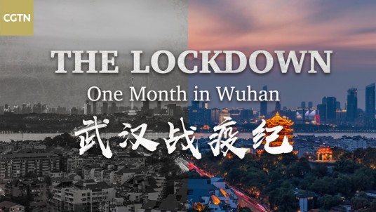 武汉战疫纪
