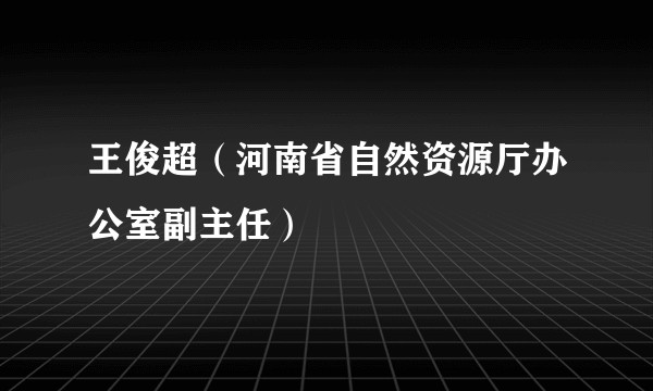 王俊超（河南省自然资源厅办公室副主任）
