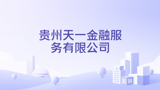 贵州天一金融服务有限公司