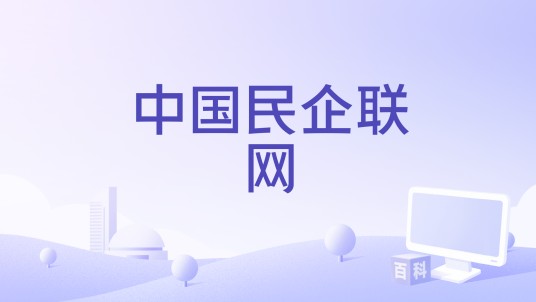 中国民企联网