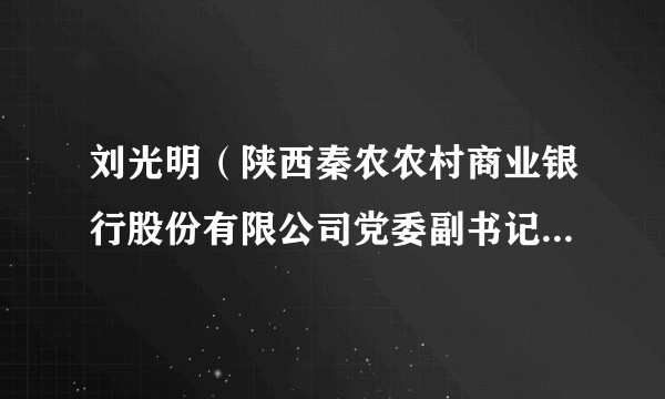 刘光明（陕西秦农农村商业银行股份有限公司党委副书记、董事、行长）