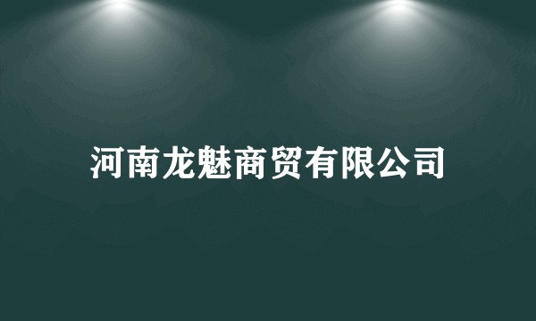 河南龙魅商贸有限公司