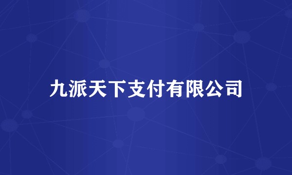 九派天下支付有限公司
