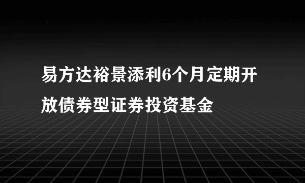 易方达裕景添利6个月定期开放债券型证券投资基金