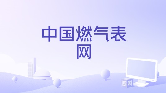 中国燃气表网