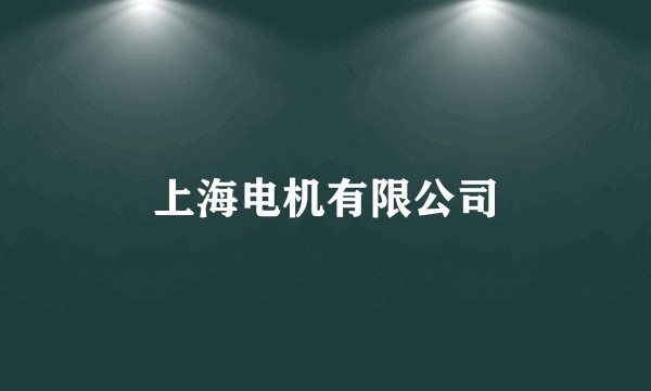 上海电机有限公司