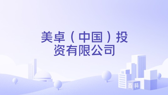 美卓（中国）投资有限公司