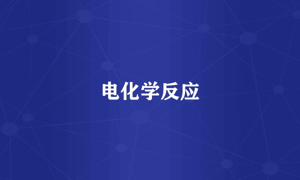 电化学反应