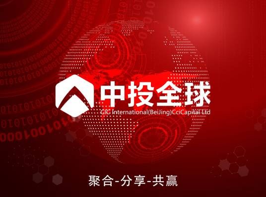 中投全球(北京)财务咨询有限公司