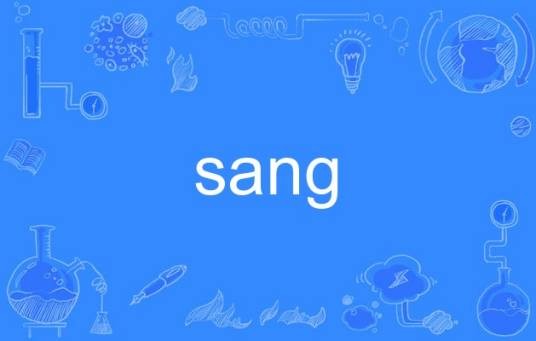 sang（英文单词）