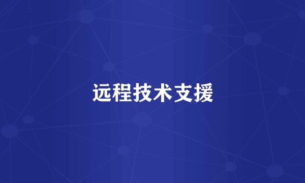 远程技术支援