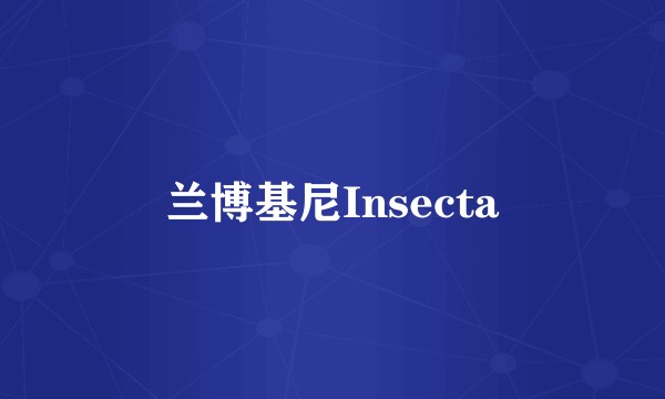 兰博基尼Insecta
