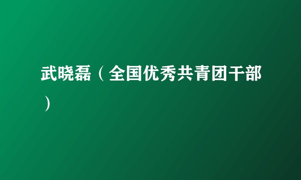 武晓磊（全国优秀共青团干部）