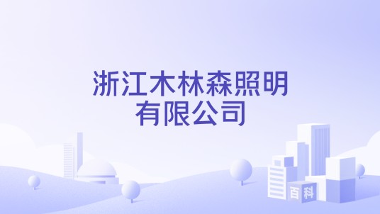 浙江木林森照明有限公司
