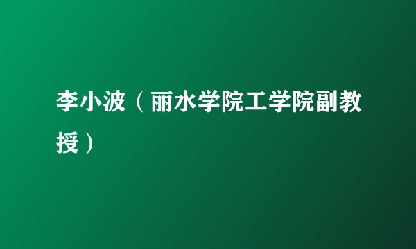 李小波（丽水学院工学院副教授）