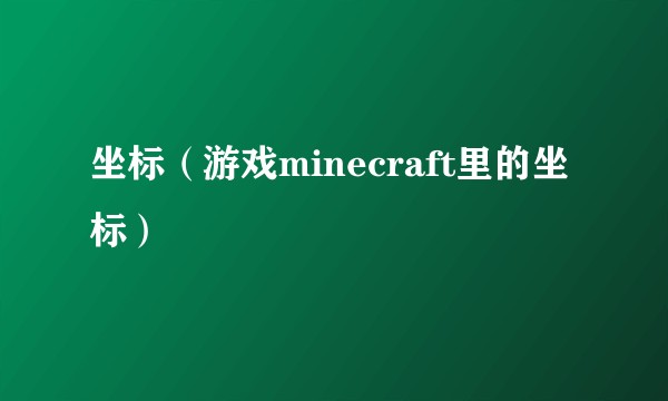 坐标（游戏minecraft里的坐标）