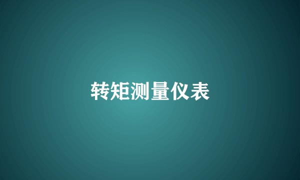 转矩测量仪表