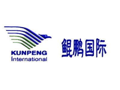 万里鲲鹏（北京）国际商务咨询有限公司