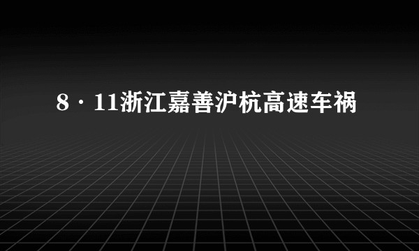 8·11浙江嘉善沪杭高速车祸