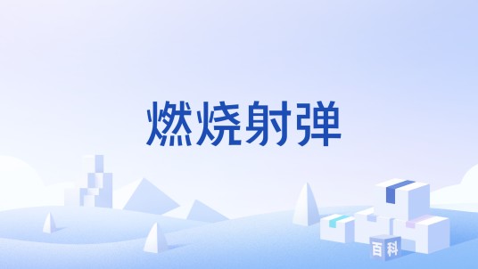 燃烧射弹