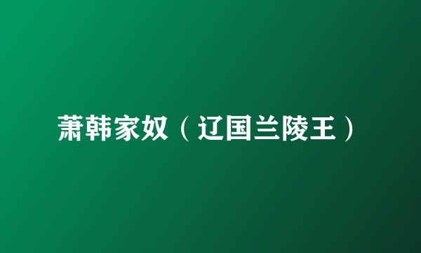 萧韩家奴（辽国兰陵王）