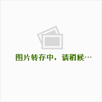 再见了·单纯