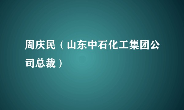 周庆民（山东中石化工集团公司总裁）