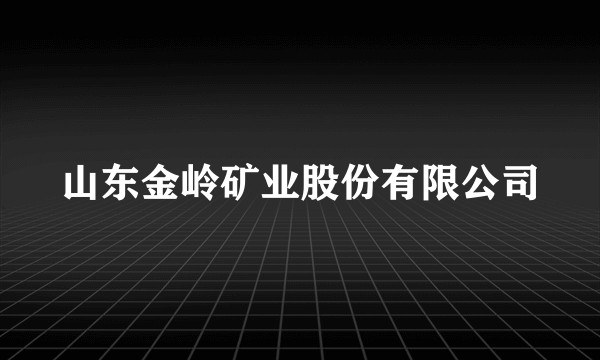 山东金岭矿业股份有限公司