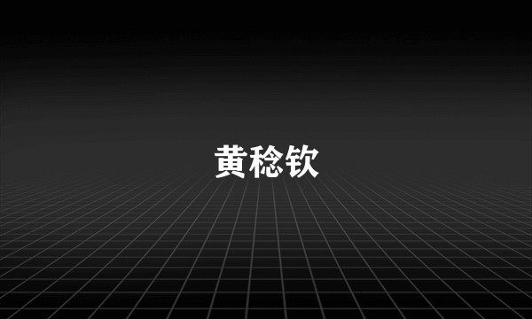 黄稔钦