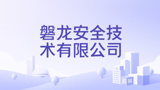 磐龙安全技术有限公司