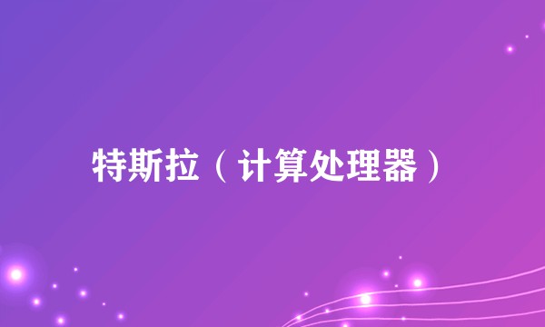 特斯拉（计算处理器）