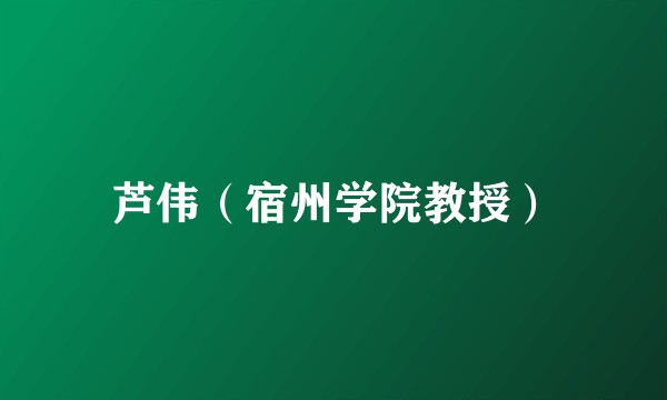 芦伟（宿州学院教授）