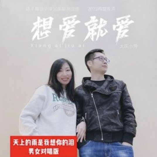 想爱就爱(大庆小芳演唱的歌曲)