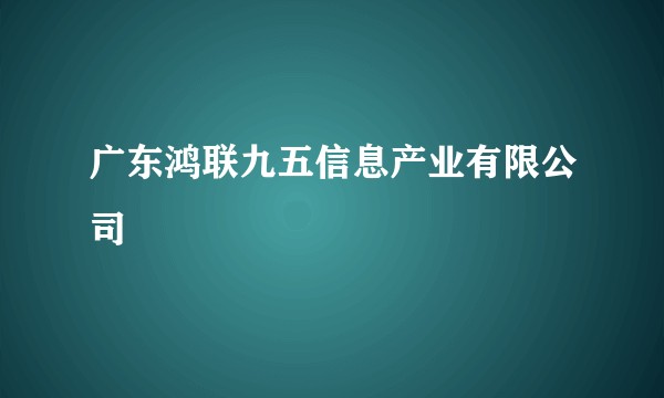 广东鸿联九五信息产业有限公司