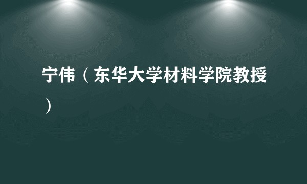 宁伟（东华大学材料学院教授）