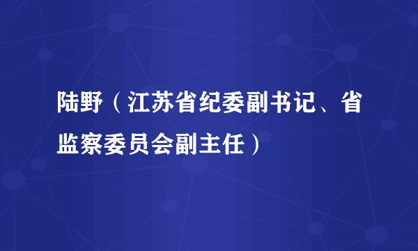 陆野（江苏省纪委副书记、省监察委员会副主任）
