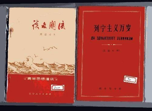 列宁主义（政治思想）