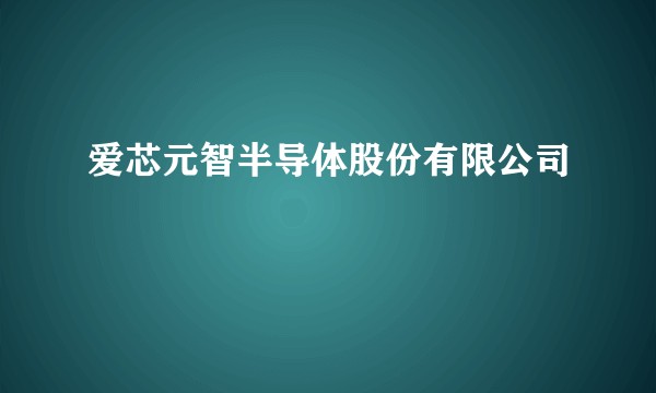 爱芯元智半导体股份有限公司
