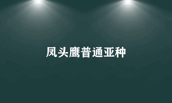 凤头鹰普通亚种