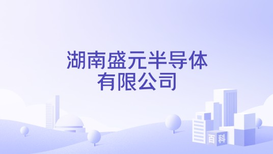 湖南盛元半导体有限公司