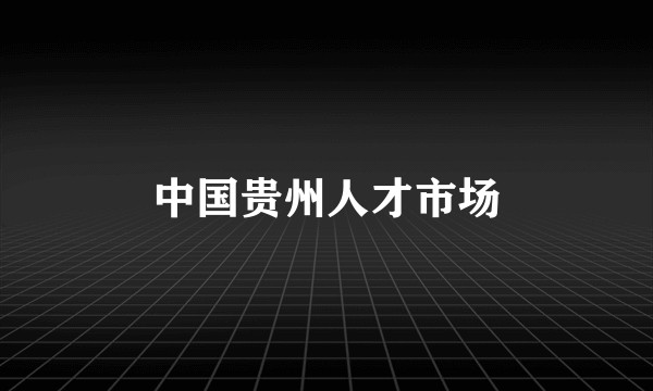 中国贵州人才市场